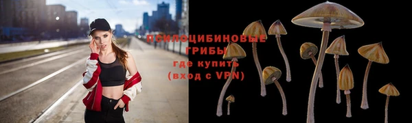 герыч Заводоуковск
