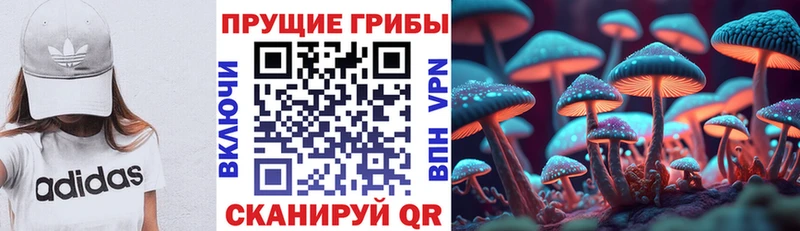 где купить наркоту Касимов Галлюциногенные грибы прущие грибы